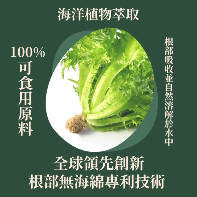 【源鮮智慧農場】綜合蔬菜組180g x 4盒 (生菜｜生菜沙拉｜水耕生菜｜生菜箱)
