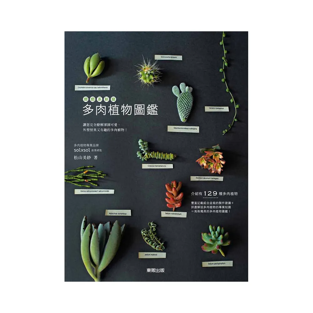療癒系新寵－多肉植物圖鑑