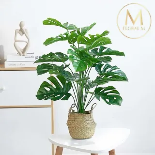 【Floral M】南洋龜背竹60cm仿真植栽(贈編織籃)(人造植栽/仿真樹/室內佈置/居家裝飾/桌上型植栽)