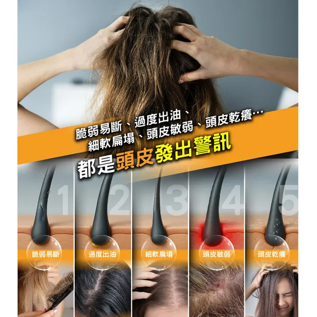 【Dr’s Formula 台塑生醫】髮根標靶健髮洗髮精580g 三入組