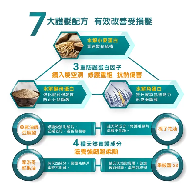 【Dr’s Formula 台塑生醫】受損修護洗髮精580g/潤絲乳530g 三入組(2款任選)