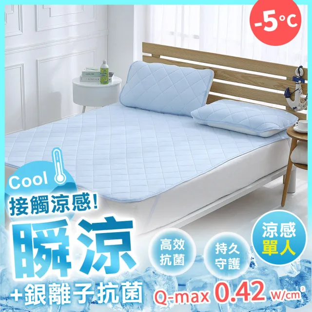 【HongYew 鴻宇】涼感-5度C 瞬涼銀離子可洗抗菌保潔墊-多款任選(單人 涼墊)