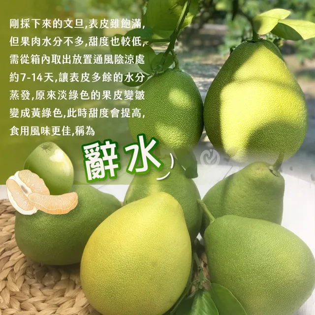 【初品果】台南麻豆老欉文旦禮盒10斤10-18顆x1箱(小果_中秋禮盒_中元普渡_拜拜_企業送禮_好友揪團)