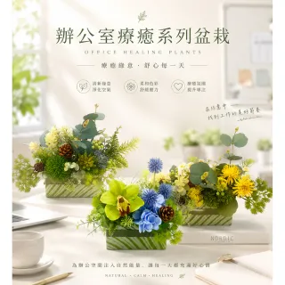 【HUGO DECO 榆果傢飾】辦公室療癒系列 金禾暖陽香氛花禮(入厝禮/開幕/喬遷/送禮/植栽/教師節)