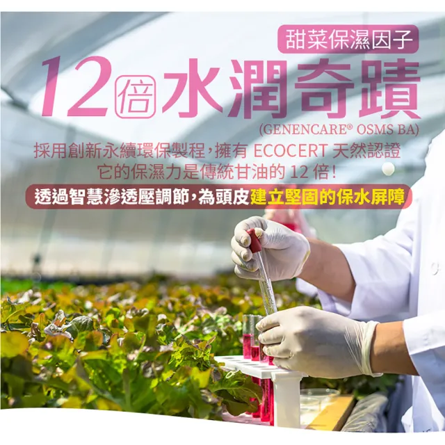 【古寶無患子】3瓶入 成分升級新上市-無矽靈洗髮精露530g(強健髮根/豐盈髮絲/潤澤柔順/控油去屑)