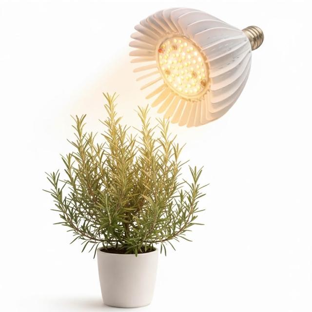 【JIUNPEY 君沛】30W 紫外線UV全光譜 E27植物燈泡(植物生長燈)