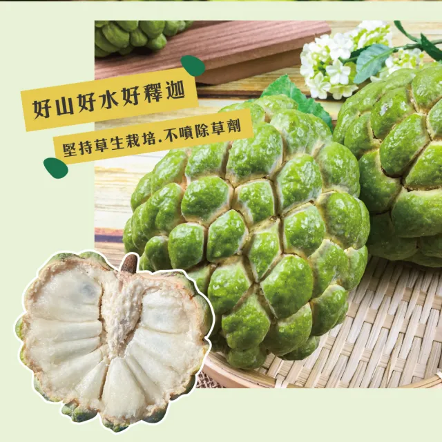 【初品果】台東知本大目釋迦禮盒含箱5斤6-7顆x2盒(送禮/禮盒/水果禮盒)