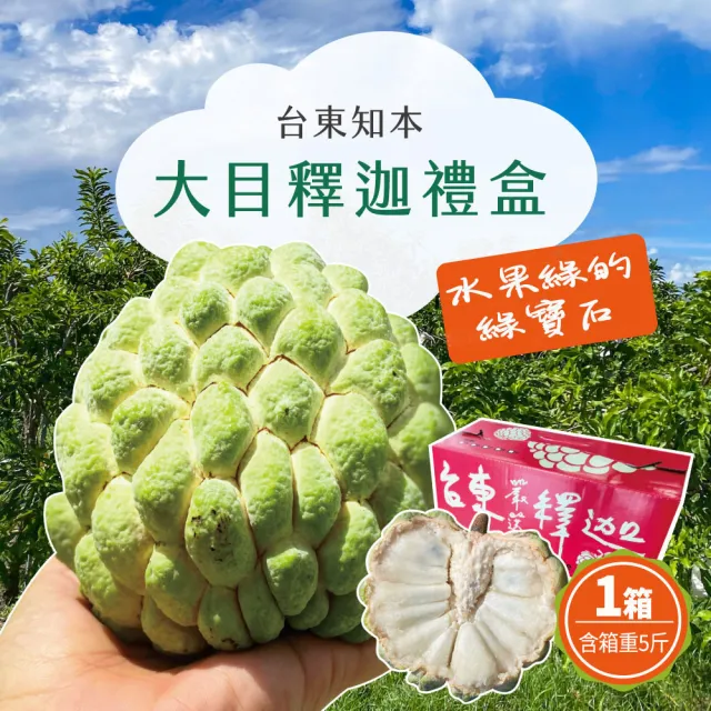 【初品果】台東知本大目釋迦禮盒含箱5斤6-7顆x1盒(送禮/禮盒/水果禮盒)