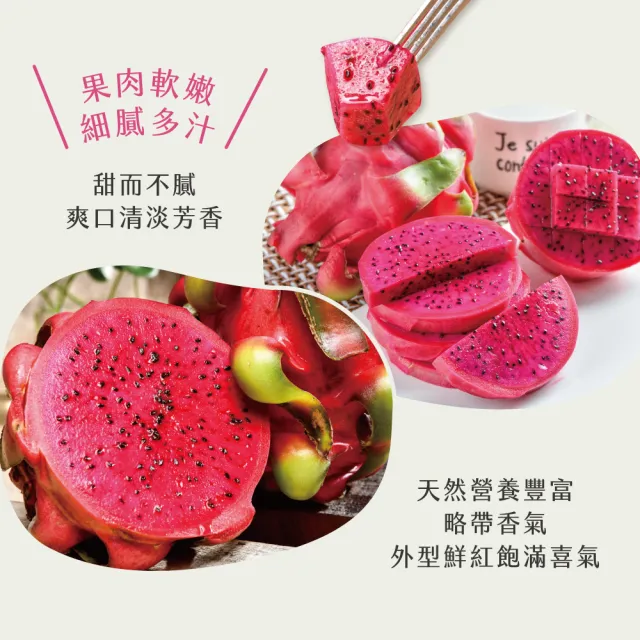 【初品果】台南白河紅肉火龍果含箱5斤6-9顆x2盒(含豐富紅甜花素_清甜多汁)