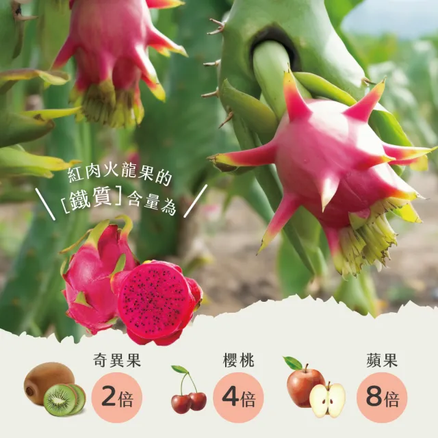 【初品果】台南白河紅肉火龍果含箱5斤6-9顆x2盒(含豐富紅甜花素_清甜多汁)