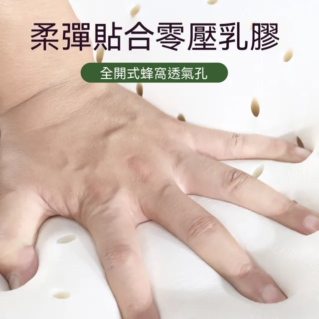 [厝景之隅]床墊 單雙人床墊 榻榻米床墊 家用臥室床墊 長200*寬120cm(可折疊 可拆洗)預購12天