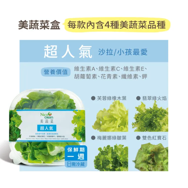 【NICE GREEn 美蔬菜】美蔬菜盒6入免運組送6包沙拉醬(萵苣 生菜 沙拉 蔬菜 防疫健康組)