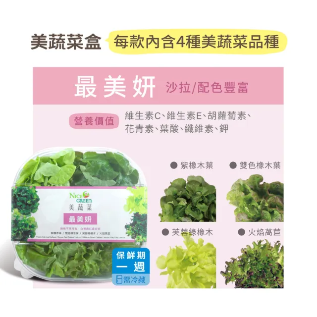 【NICE GREEn 美蔬菜】美蔬菜盒6入免運組送6包沙拉醬(萵苣 生菜 沙拉 蔬菜 防疫健康組)