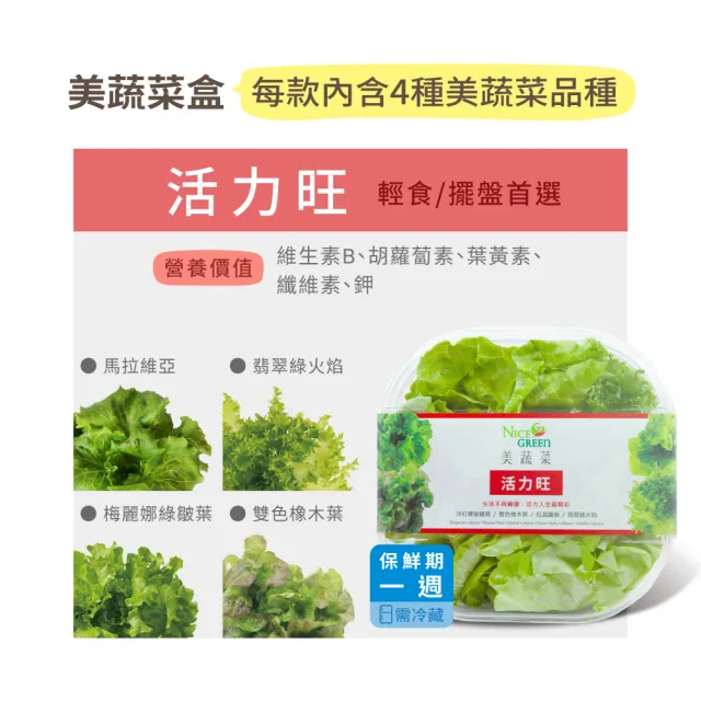 【NICE GREEn 美蔬菜】美蔬菜盒6入免運組送6包沙拉醬(萵苣 生菜 沙拉 蔬菜 防疫健康組)