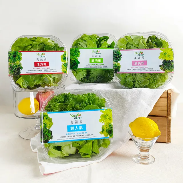 【NICE GREEn 美蔬菜】美蔬菜2入+羽衣甘藍盒4入送2包沙拉醬(200g/盒、生菜、沙拉、蔬菜、萵苣、羽衣甘藍)