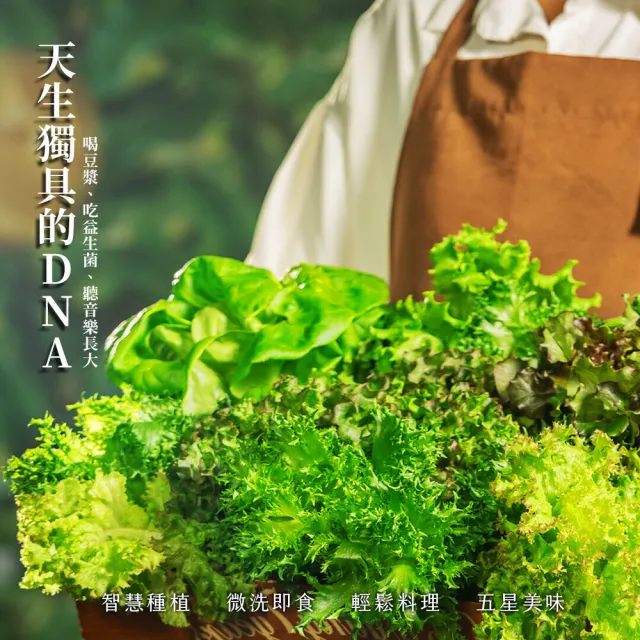 【源鮮智慧農場】綜合鮮蔬箱180g x 4盒 (生菜｜生菜沙拉｜水耕蔬菜｜蔬菜｜水耕生菜沙拉)
