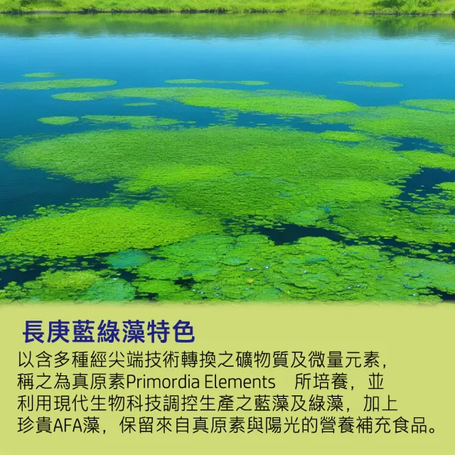 【長庚生技】藍綠藻(180粒/瓶)