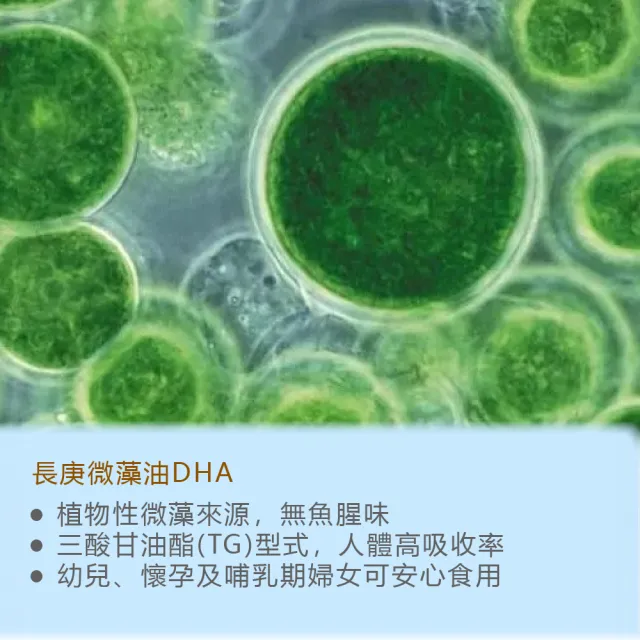 【長庚生技】微藻油DHA軟膠囊(90粒/瓶)