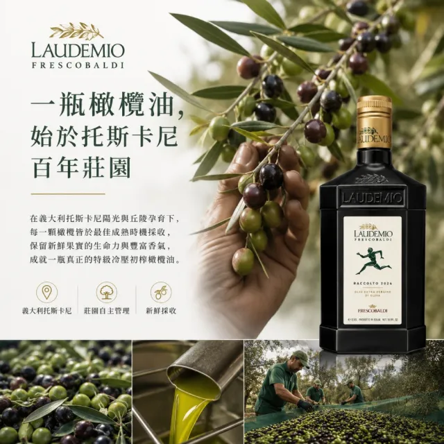 【Laudemio Frescobaldi】金牌特級冷壓初榨橄欖油莊園級 250ml 盒裝 生飲等級 低油酸高發煙點 跑步人雙11