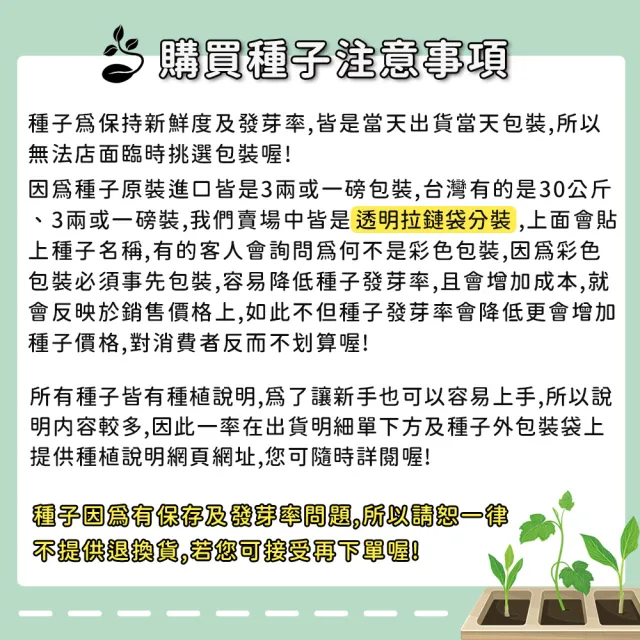 【蔬菜工坊】玉米種子系列-各包裝數量詳見內文及圖片說明(水果玉米 玉米筍 糯玉米 超甜玉米)