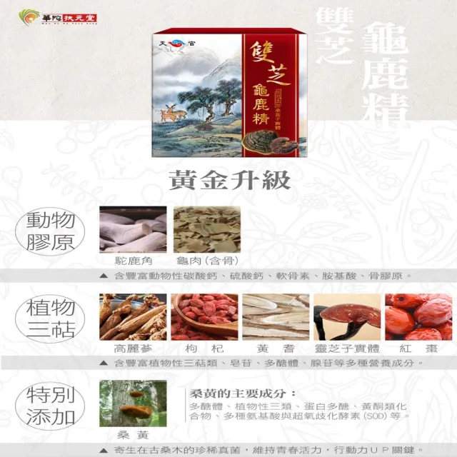 【華陀扶元堂】雙芝龜鹿精10盒組(9瓶/盒;陳美鳳代言-軟骨素/桑黃子)中秋禮盒