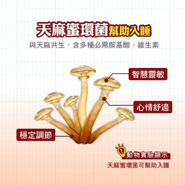 【順天本草】長大人成長膠囊女方 黃金御膳超值組-60顆/盒X2 (成長關鍵、青木瓜、調整體質)