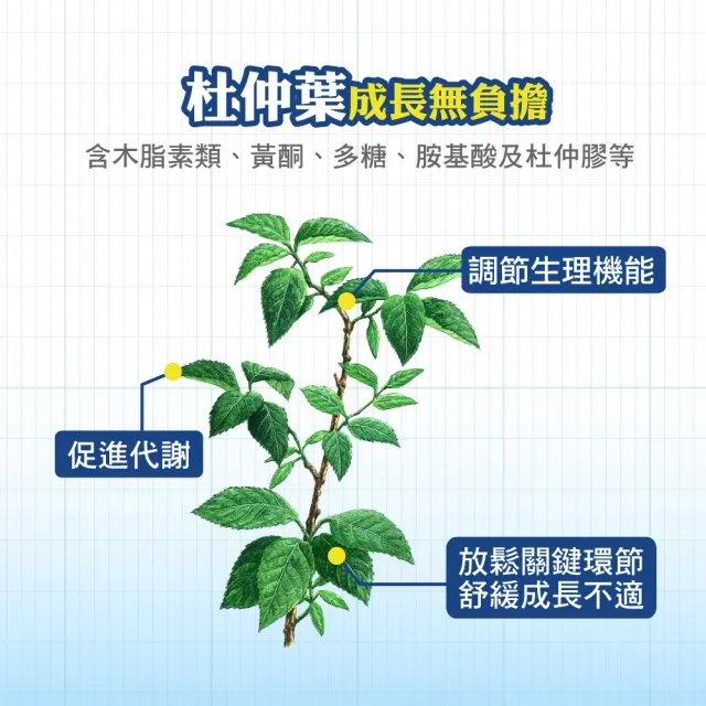 【順天本草】長大人成長膠囊男方 黃金御膳超值組-60顆/盒X2 (成長關鍵、順天堂集團、調整體質)