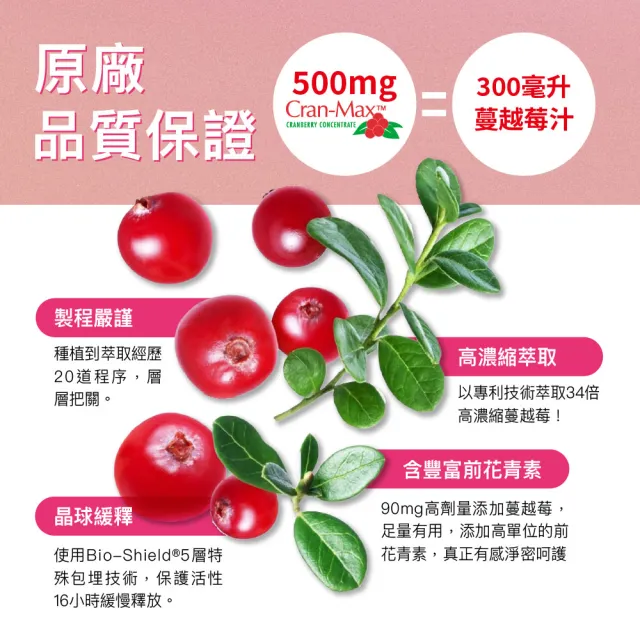 【Angel LaLa 天使娜拉】美國專利Cran-Max蔓越莓甘露糖益生菌膠囊(30顆/盒/益生菌/私密保養/賴雅妍)