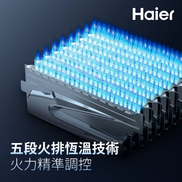 【Haier 海爾】18L智能恆溫熱水器LPG PRO(JSQ37-18D(LPG)桶裝瓦斯 基本安裝)