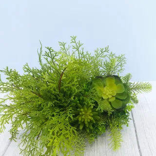【HUGO DECO 榆果傢飾】高擬真蕨草多肉植物盆栽(擬真植物/禮物/綠化/永不凋零/佈置/蕨類)