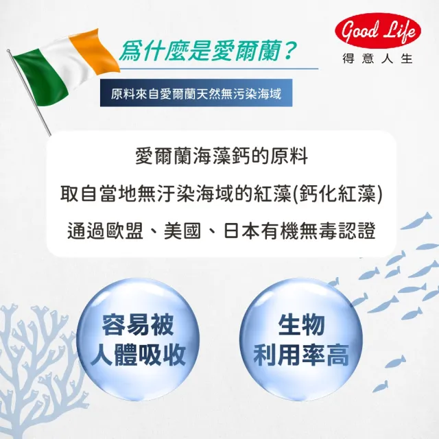 【得意人生】天然愛爾蘭紅藻高鈣複方海藻鈣+D3+鎂 三入優惠組(共300粒 每錠鈣502mg 紅藻鈣 鈣片 補鈣 鎂)