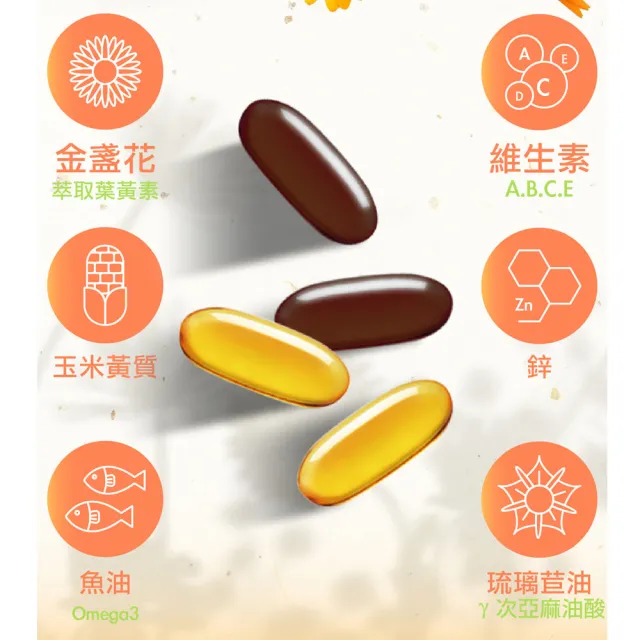 【Doppelherz 德之寶】葉黃素日夜軟膠囊60粒x6盒(德國雙心)