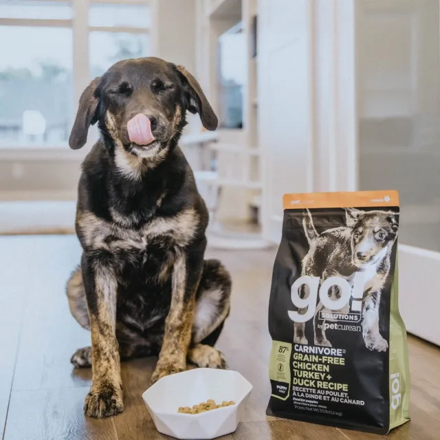 【Go!】雞肉鮭魚 3.5磅七包 幼犬/懷孕犬高肉量系列 無穀天然糧(狗糧 狗飼料 寵物食品 乾飼料)