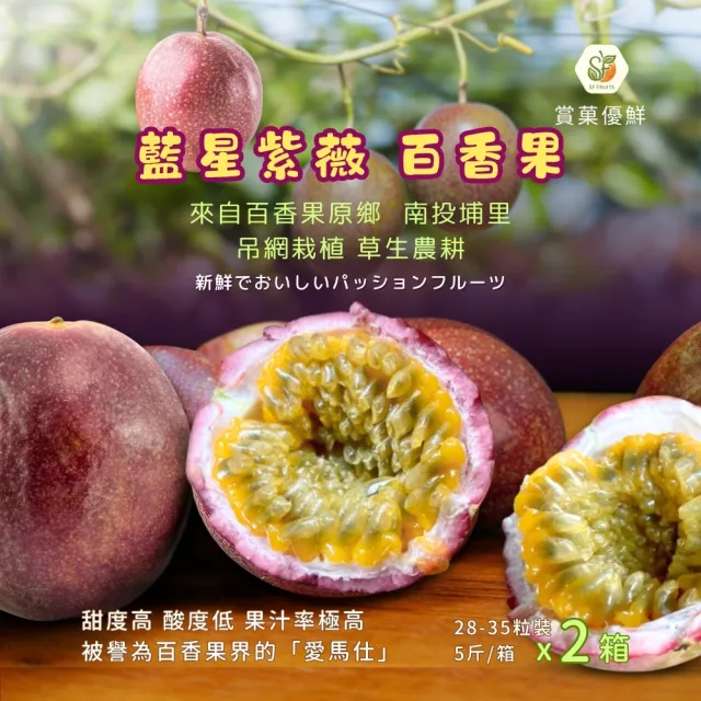 【賞菓優鮮】埔里吊網藍星紫薇百香果精美禮盒2盒(28-35粒/5斤±10%/盒X2盒)(新鮮現採_產地直送)