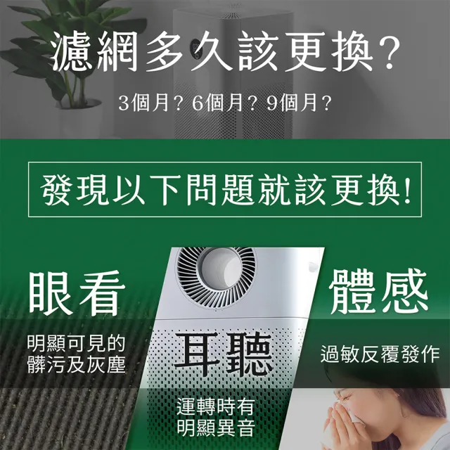 【綠綠好日】一年份_適用 Honeywell HPA-200APTW/HPA-5250WTW HEPA抗菌濾網+沸石活性碳(濾芯 活性碳除臭)