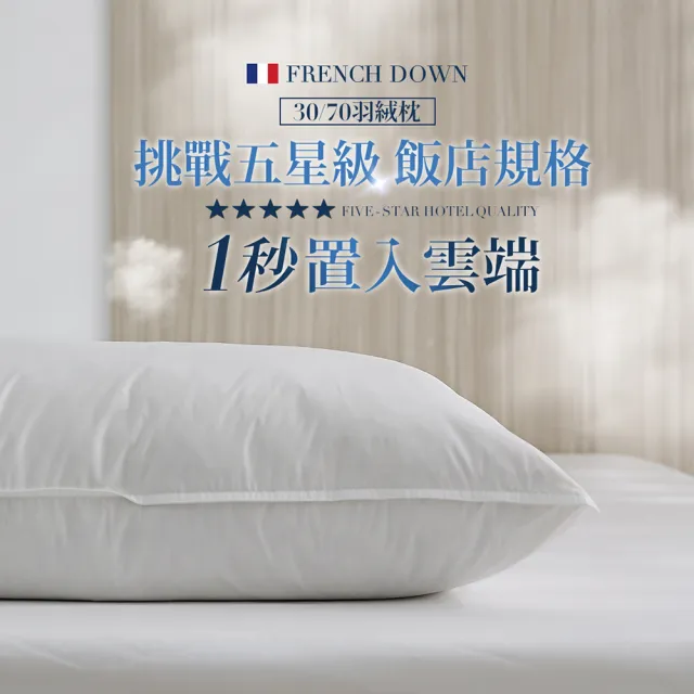 【HOYACASA  禾雅寢具】法國飯店羽絨枕/德國防螨天絲枕/獨立筒枕任選2入組(3070羽絨枕/物理防螨抗菌)