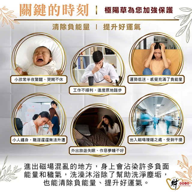 【財神小舖】好預兆 澡平安 除穢艾草洗髮精500ml(避邪 淨身 淨化 艾草精油 PIF  鬼月 中元普渡)