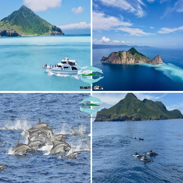 宜蘭新福豐168賞鯨旅遊｜兒童票★賞鯨＋繞龜山島（附導覽解說）