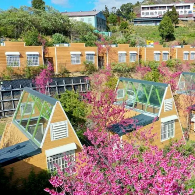 南投清境基路伯營區|星空玻璃三角露營屋-2大送1位12歲以下免費住(加大雙人床.獨立衛浴)