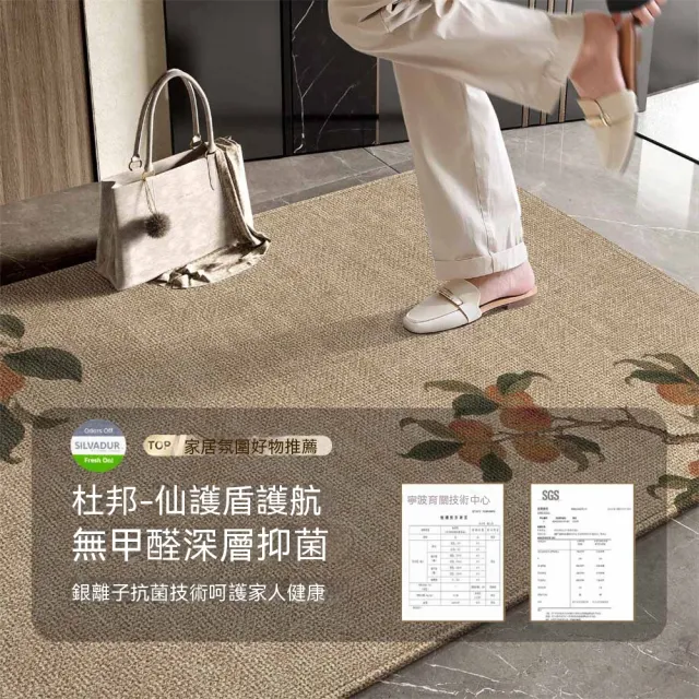 新中式入戶門墊 進門地墊 門口防滑墊 客廳地毯 高級感蹭腳墊