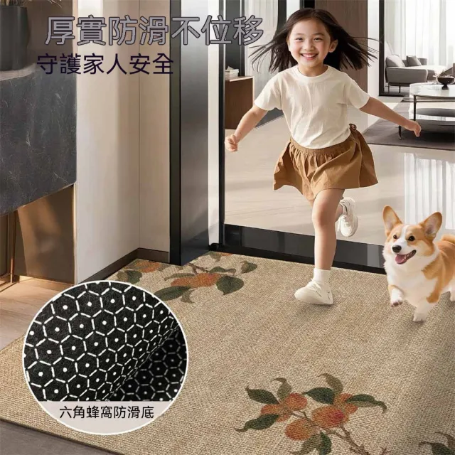 新中式入戶門墊 進門地墊 門口防滑墊 客廳地毯 高級感蹭腳墊