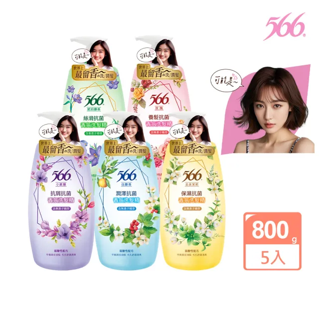 【566】抗菌香氛洗髮精800gx5(琥珀麝香/金朵茉莉保濕/白麝香潤澤/小蒼蘭抗屑/玫瑰養髮 任選)