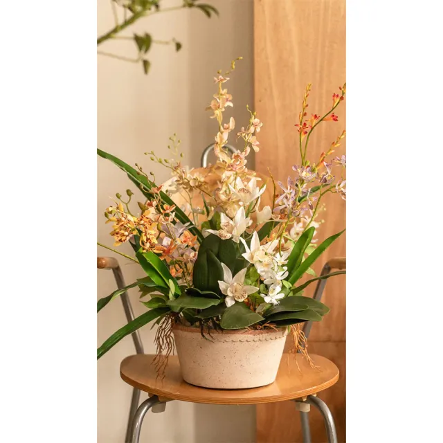 【Hutte】Orchid Garden Gift Box 擬真蘭園禮盆 (Bergspotter Helena)