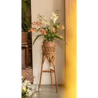 【Hutte】Orchid Garden Gift Box 擬真蘭園禮盆 (Bergspotter Elizabeth)