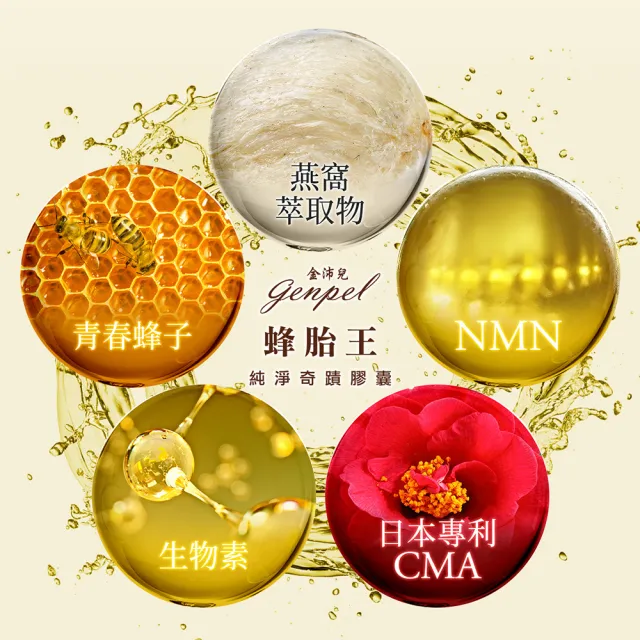 【金沛兒】蜂胎王日本專利CMA+NMN純淨奇蹟膠囊3入組 超級胺基酸 生物素 燕窩萃取 蜂王子 COA認證βNMN