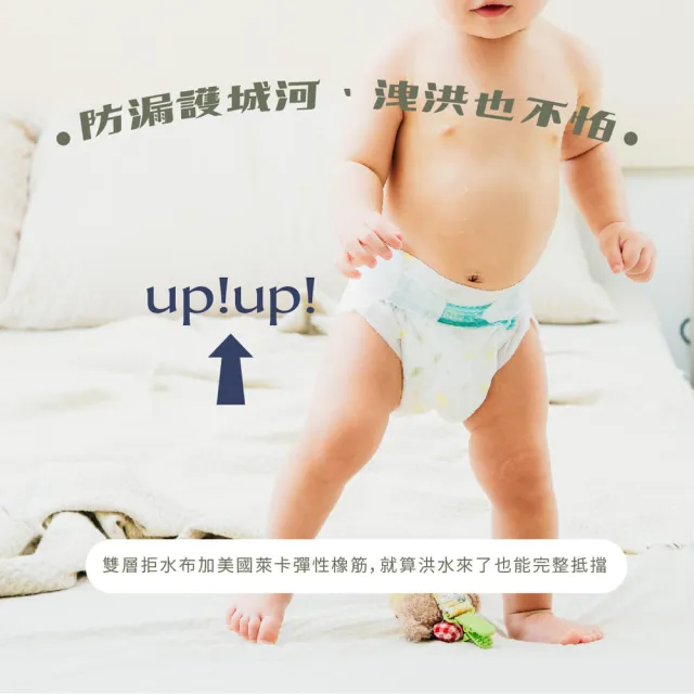 【PureBaby 波比】植萃抑菌接財褲 黏貼型 S-XL(單包) 2026全新升級款(北港武德宮獨家聯名)無甲醯胺