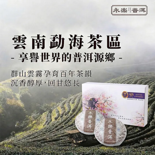 【EiRAKU】永樂普洱茶雙餅禮盒200g -繁花款 (附專屬提袋 茶餅 茶磚 雲南 熟茶 送禮 中秋禮盒 父親節)
