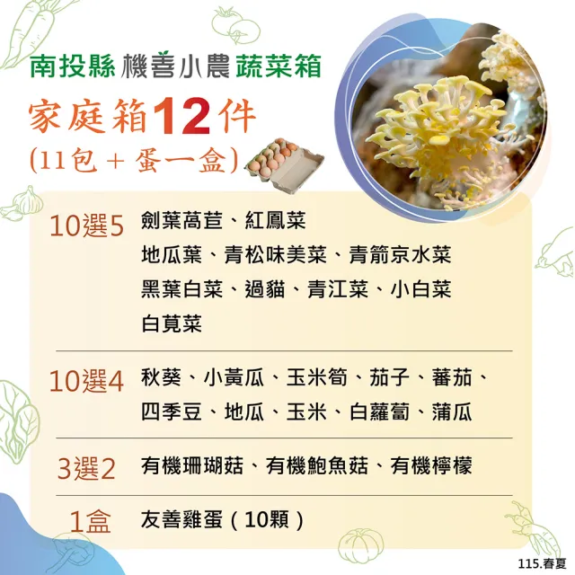 【機善小農】蔬菜箱_南投縣_家庭箱12件(每週出箱)(有機友善/鮮採直送/安心健康/支持家鄉好農產)