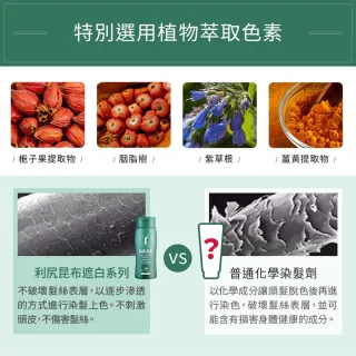 【台隆手創館】Sastty利尻昆布白髮用修復染髮劑200g(黑色/深棕色/淺棕色)
