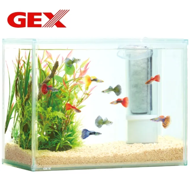 【GEX】日本五味 L2 全向底抽過濾器+棉3入 底部上升.內置式過濾(主機內有1片再加3片碳板濾板)